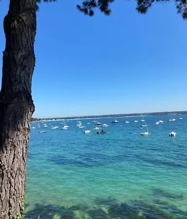Le Citronnier Fouesnant